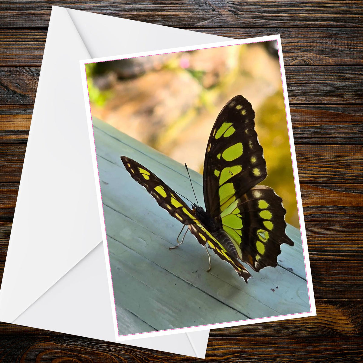 Malachite Butterfly A6 Card – Tropical Nature Photography, Marcus Brown Collection