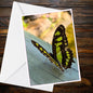 Malachite Butterfly A6 Card – Tropical Nature Photography, Marcus Brown Collection