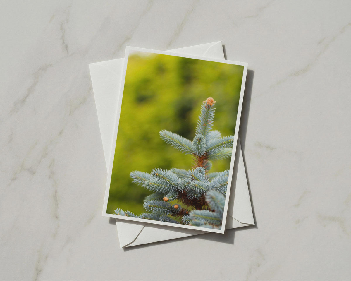 Blue Spruce Tree Card, Evergreen Nature Card, Conifer Botanical, Forest Green A6 Greeting Card