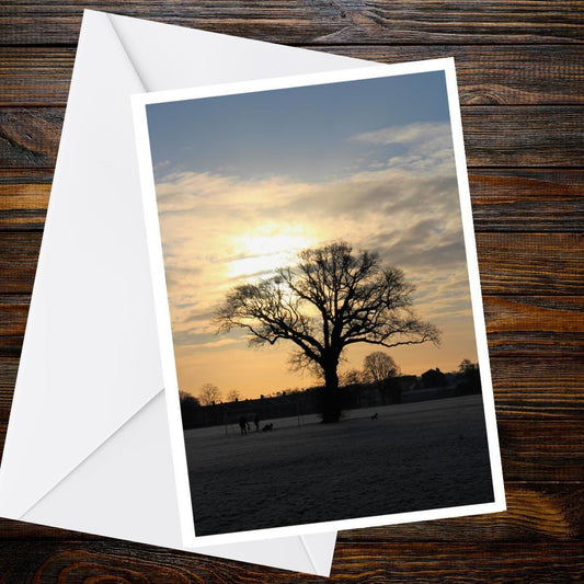 Golden Tree Sunrise Greetings Card | Winter Tree Card | Blank Nature Greeting Card