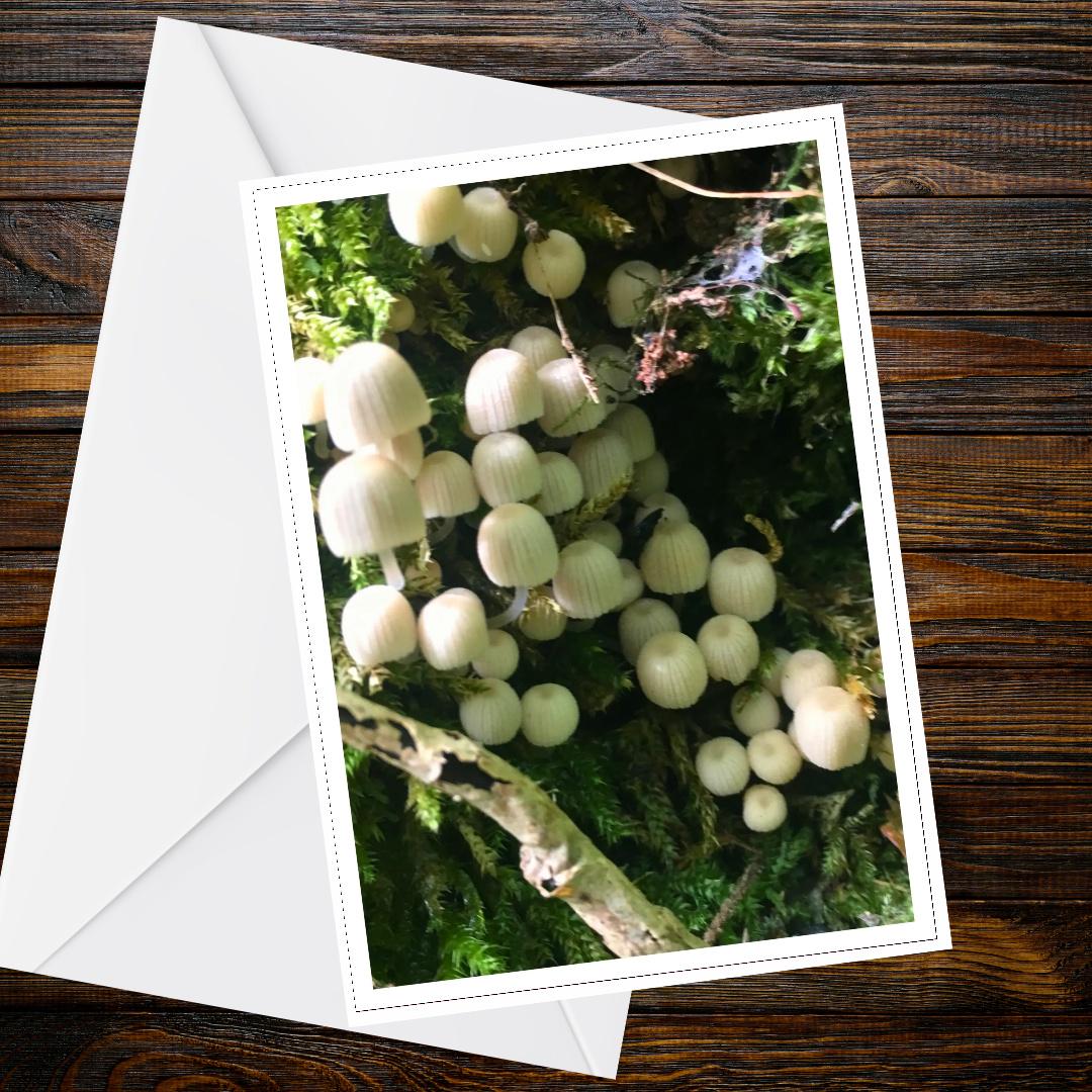 Bonnet Mushroom Fungi Greeting Card, Nature Woodland Botanical Card, Mycology Wildlife Art, FSC Certified All Occasion Card