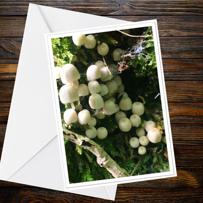 Bonnet Mushroom Fungi Greeting Card, Nature Woodland Botanical Card, Mycology Wildlife Art, FSC Certified All Occasion Card