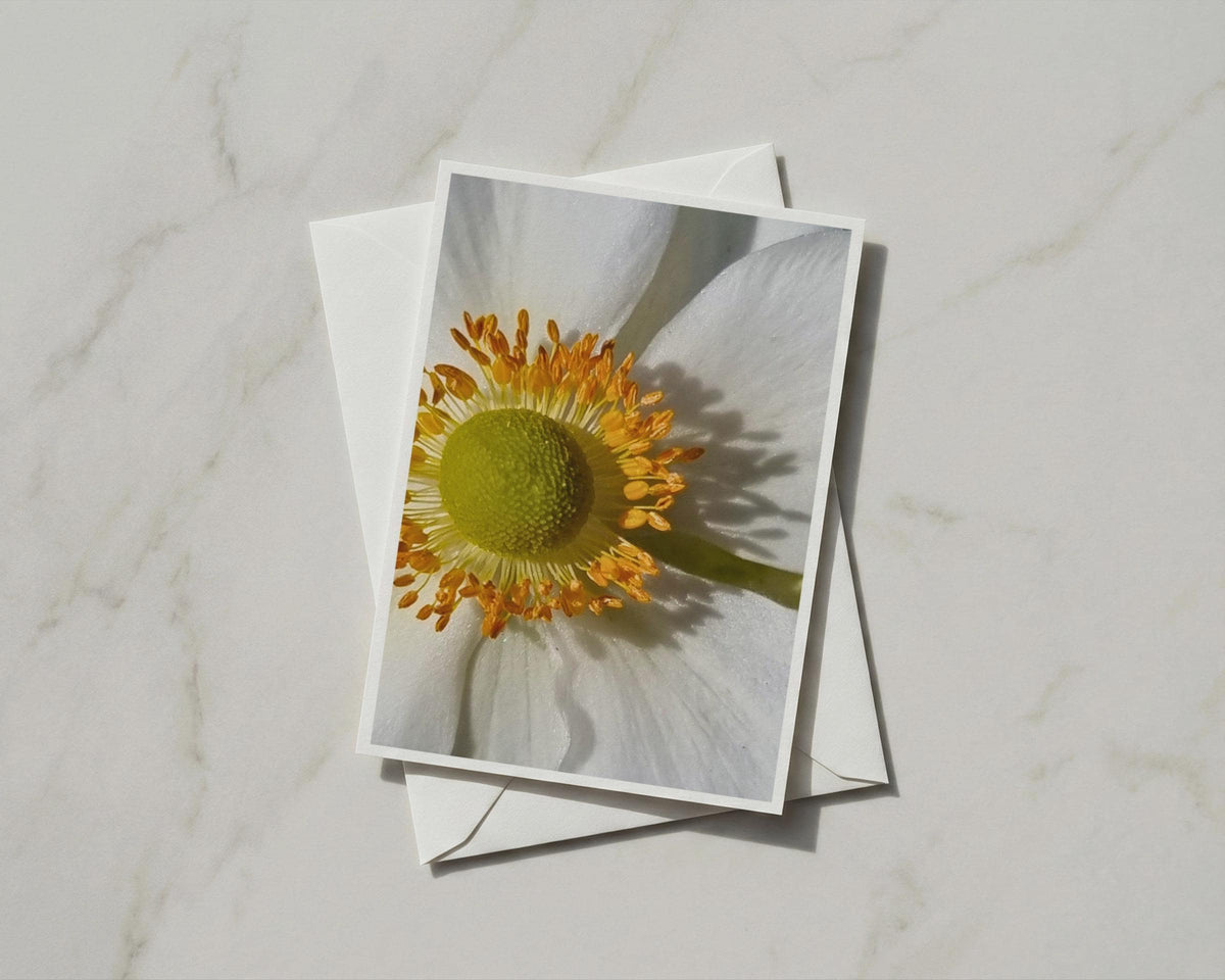 White Anemone Flower Card, Close Up Botanical Photography, Floral Greeting Card
