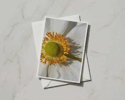 White Anemone Flower Card, Close Up Botanical Photography, Floral Greeting Card