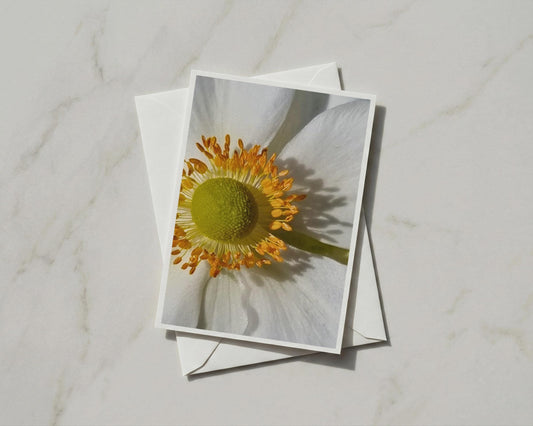 White Anemone Flower Card, Close Up Botanical Photography, Floral Greeting Card