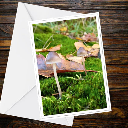 Glassy Inkcap Fungi Greeting Card, Mushroom Nature Card, Woodland Botanical Illustration, FSC Certified All Occasion Card, Mycology Artwork
