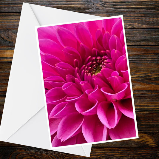 Dahlia Lavender Purple Greeting Card | Summer Flower Collection A6 Floral Photo Card