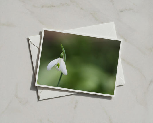 Snowdrop Flower Card, White Spring Botanical Greeting Card, Nature Garden Gift