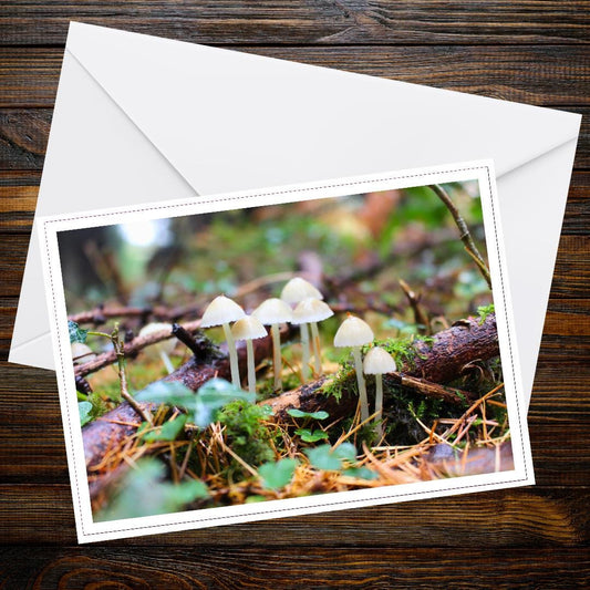Common bonnet Fungi Greeting Card, Botanical Art Card, Woodland Mushroom Stationery, Nature Lover Gift, Eco Friendly Cottagecore Decor