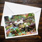 Common bonnet Fungi Greeting Card, Botanical Art Card, Woodland Mushroom Stationery, Nature Lover Gift, Eco Friendly Cottagecore Decor