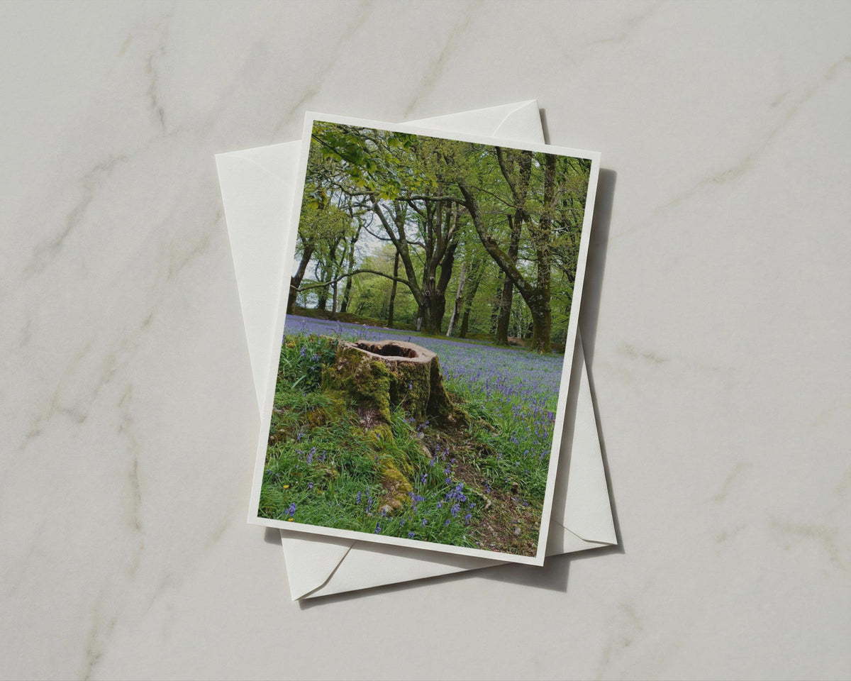 Bluebell Wood Greeting Card, Mossy Tree Stump, Spring Forest Nature Card, A6