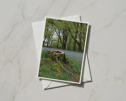 Bluebell Wood Greeting Card, Mossy Tree Stump, Spring Forest Nature Card, A6