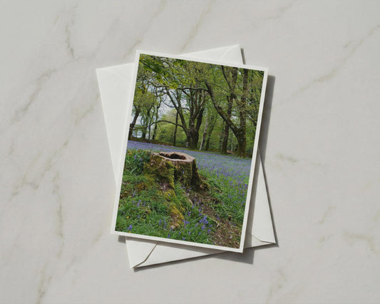 Bluebell Wood Greeting Card, Mossy Tree Stump, Spring Forest Nature Card, A6