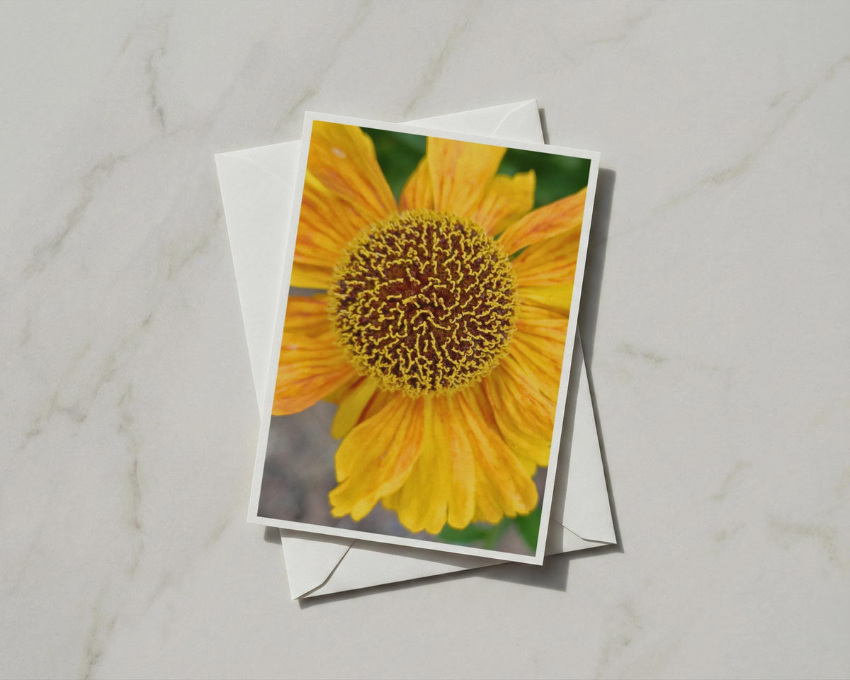 Yellow Orange Flower Close Up Card, Macro Botanical, Daisy Helenium, Blank A6 Card