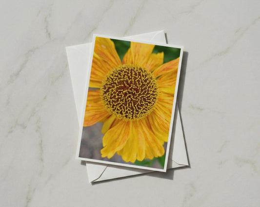 Yellow Orange Flower Close Up Card, Macro Botanical, Daisy Helenium, Blank A6 Card