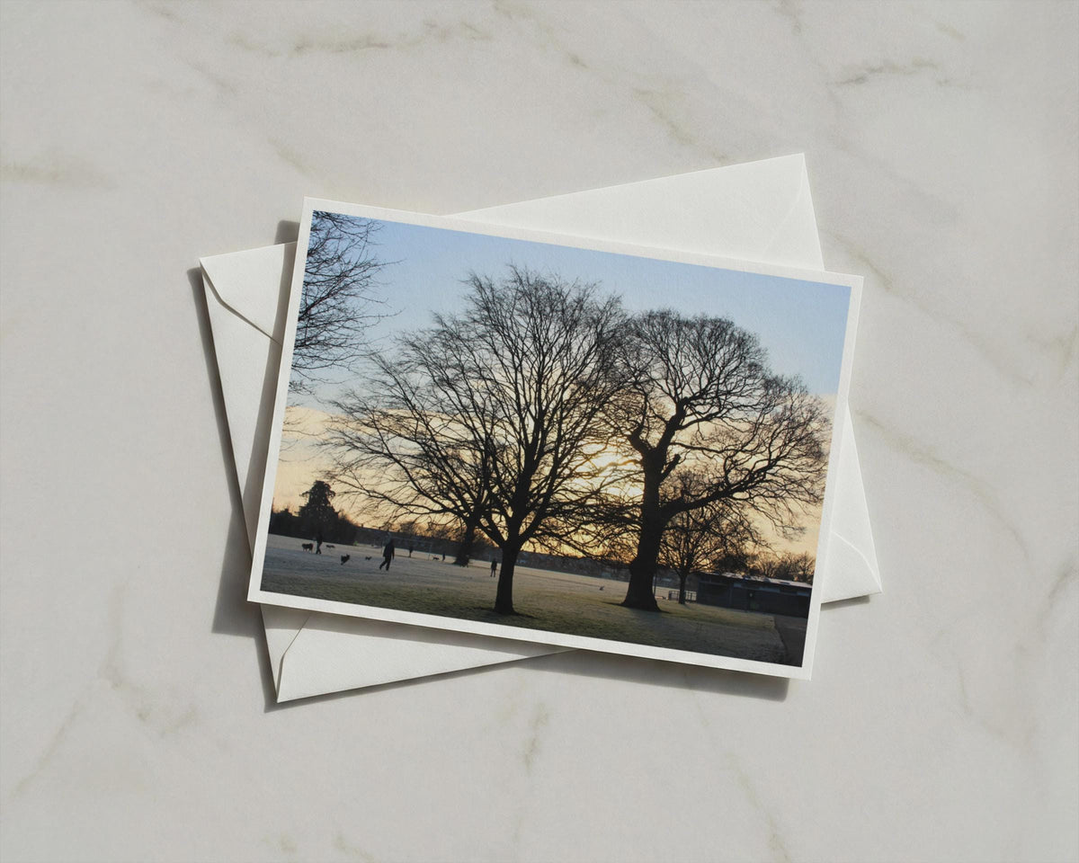 Winter Sunrise Park Card, Bare Tree Silhouette, Dawn Landscape A6 Greeting Card