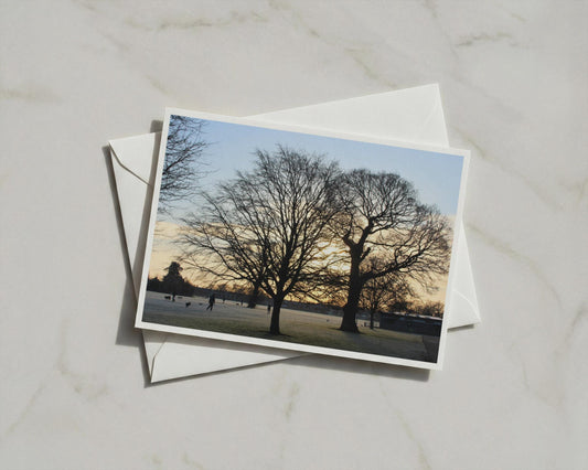 Winter Sunrise Park Card, Bare Tree Silhouette, Dawn Landscape A6 Greeting Card