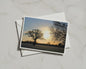 Winter Sunrise Landscape Card, Bare Tree Silhouette, Dawn Sky Greeting Card A6