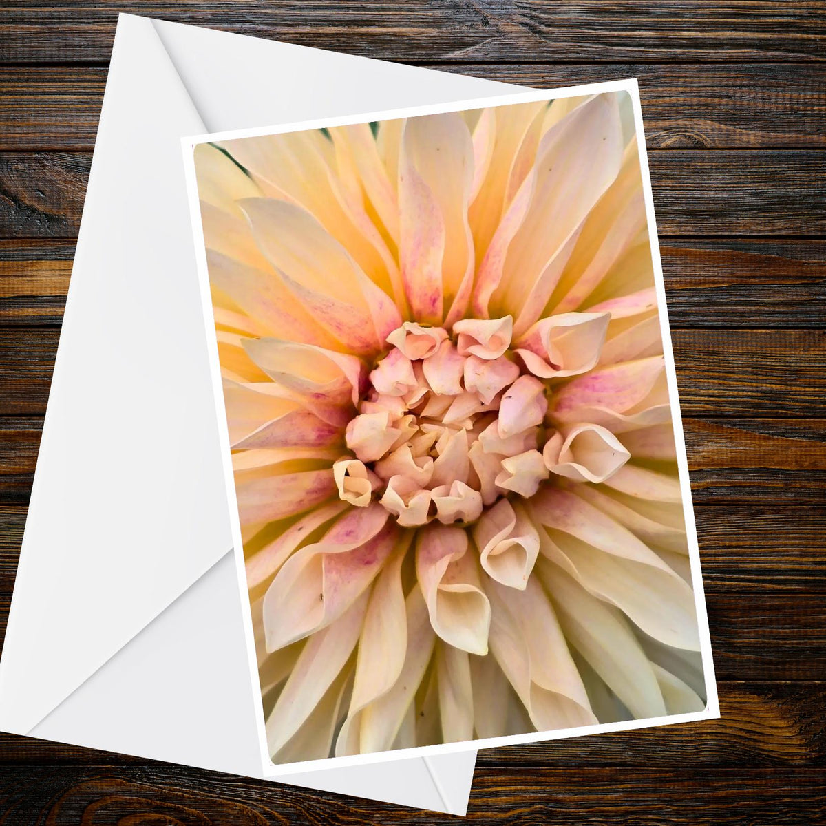 Dahlia Peach & Champagne Greeting Card - Soft Pink Blush Dinner-Plate | Summer Flower Collection