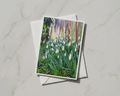Snowdrop Flower Card, Spring Garden Greeting Card, White Floral A6 Card with Envelope