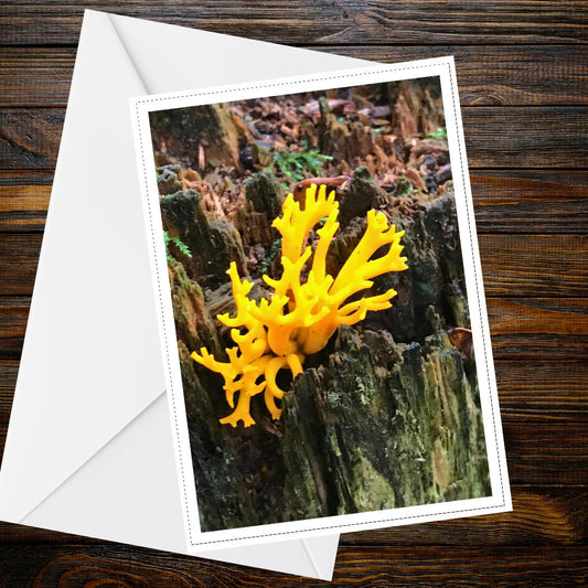 Yellow Stagshorn Fungi Greeting Card, Nature Card, Woodland Botanical Illustration, Eco-friendly FSC Certified Paper, All Occasions
