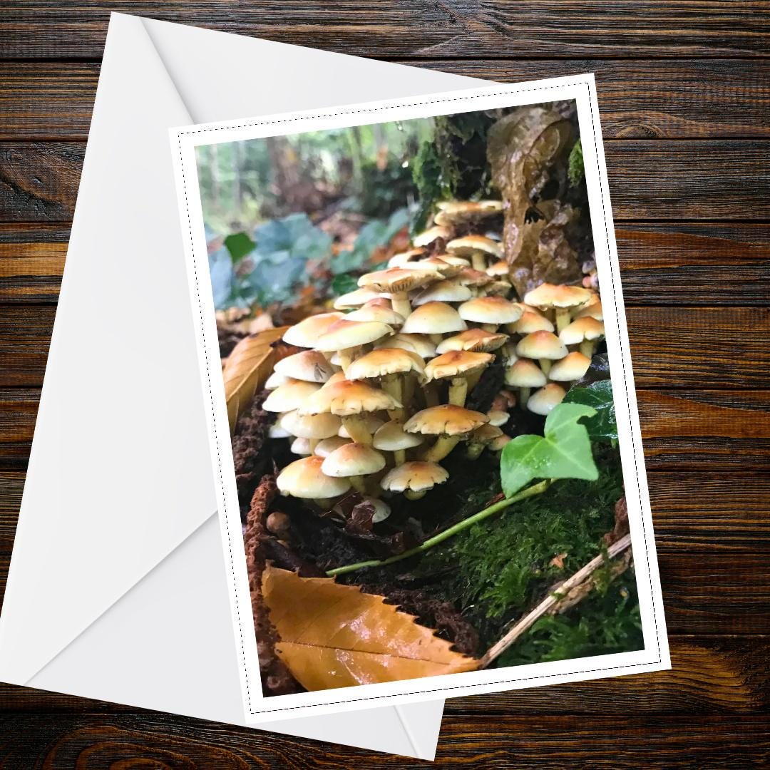 Sulphur Tuft Fungi Greeting Card, Woodland Nature Card, Mushroom Botanical Art, FSC Certified All Occasion Card, Mycology Wildflower Card
