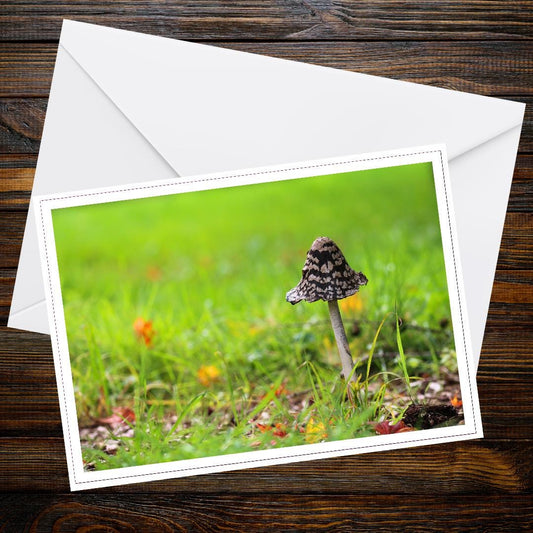 Fungi Greeting Card, Botanical Art Card, Mushroom Stationery, Woodland Wildlife, Nature Lover Gift, Eco Friendly Card