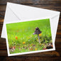 Fungi Greeting Card, Botanical Art Card, Mushroom Stationery, Woodland Wildlife, Nature Lover Gift, Eco Friendly Card