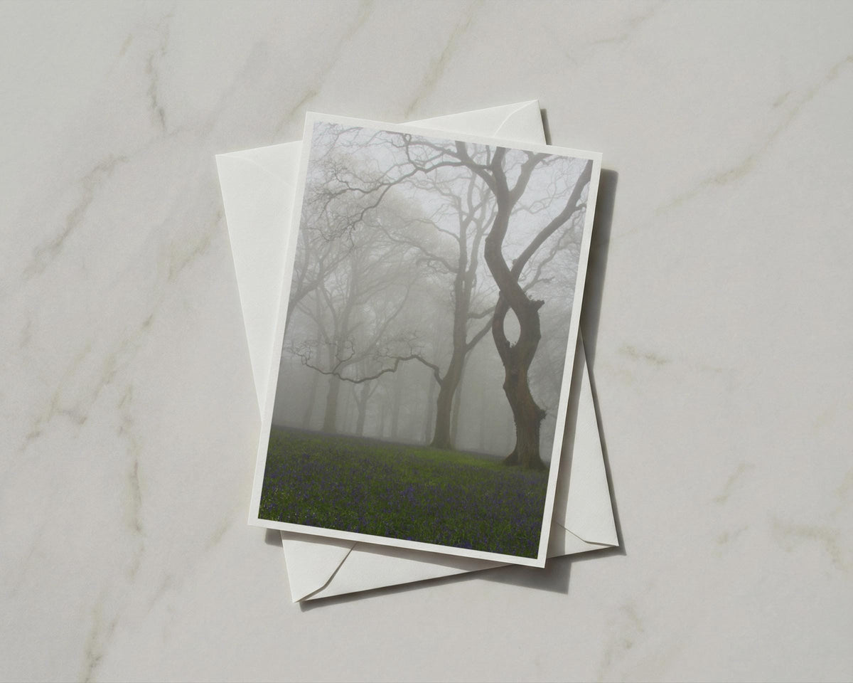 Misty Bluebell Wood Card, Foggy Forest Trees Nature, A6 Greeting Card with Envelope