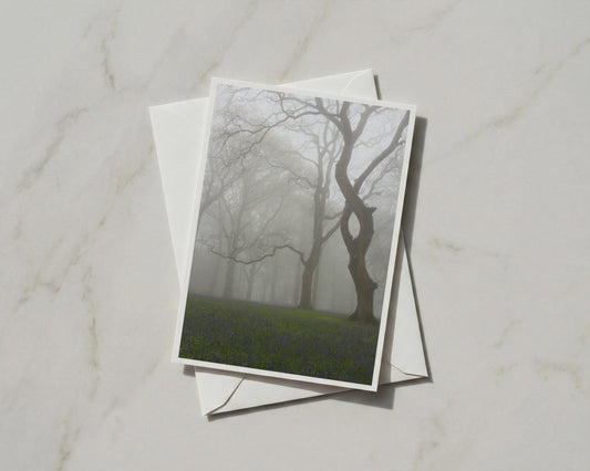 Misty Bluebell Wood Card, Foggy Forest Trees Nature, A6 Greeting Card with Envelope