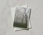 Misty Bluebell Wood Card, Foggy Forest Trees Nature, A6 Greeting Card with Envelope