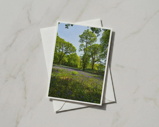 Bluebell Wood A6 Card, British Woodland Nature Photography, Spring Forest Trees