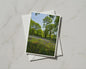 Bluebell Wood A6 Card, British Woodland Nature Photography, Spring Forest Trees