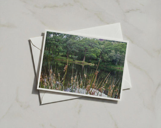 Forest Lake Landscape Poster, Woodland Reflection Wall Art, Trees Rushes Nature Print, Framed-Print, Green Calm Countryside Photo Artwork