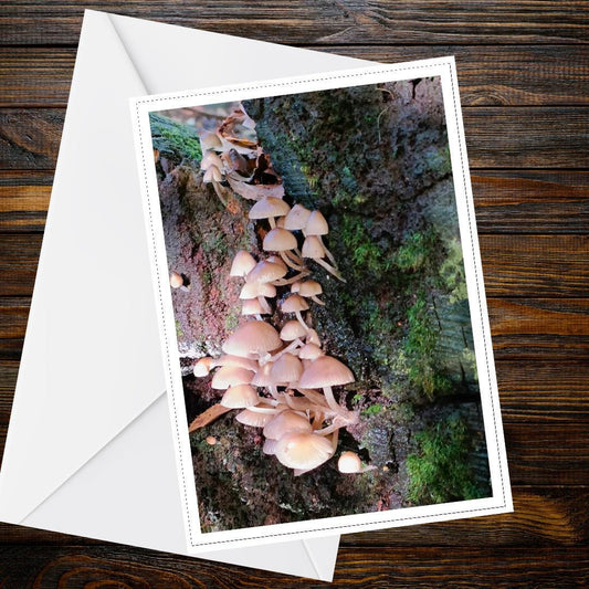 Fairy Bonnet Fungi Greeting Card | Bioluminescent Mushrooms Nature Card | Woodland Botanical All Occasion Handmade FSC Certified