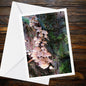 Fairy Bonnet Fungi Greeting Card | Bioluminescent Mushrooms Nature Card | Woodland Botanical All Occasion Handmade FSC Certified