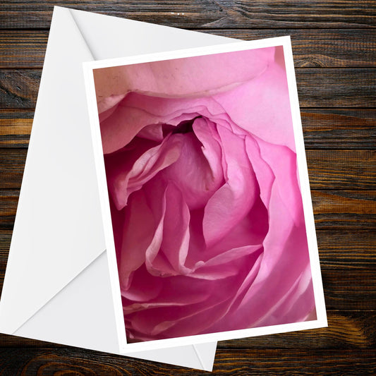 Pink Rose Abstract greeting card — blush-pink petals close-up photo, A6 floral card