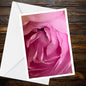 Pink Rose Abstract greeting card — blush-pink petals close-up photo, A6 floral card