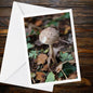 Shaggy Parasol Fungi Greeting Card | Woodland Nature Card | Botanical Mushroom Illustration | Unique All Occasion Card