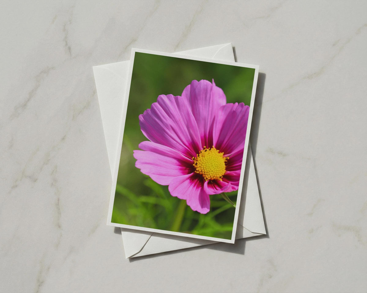 Pink Cosmos Flower Card, Blank A6 Greeting Card, Garden Floral Photo, Summer Bloom