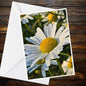 Oxeye Daisy A6 Card – Dewdrops Sunlight Nature Photography Greeting Card