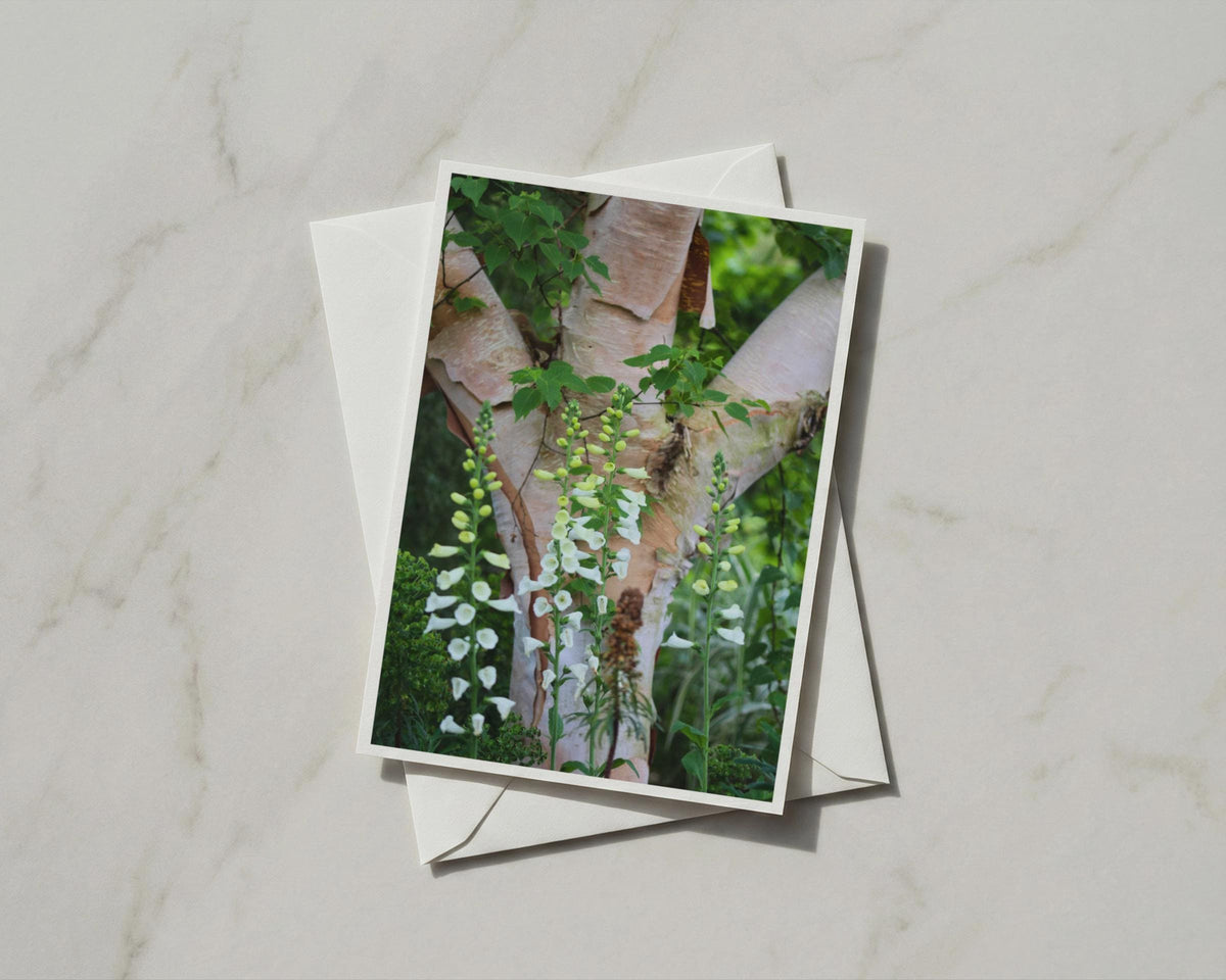 White Foxglove Card, Birch Tree Woodland Flower, Botanical Nature Garden Card