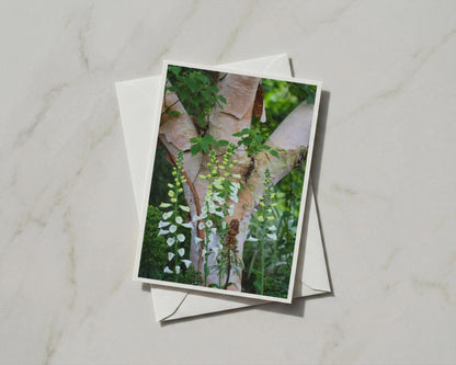 White Foxglove Card, Birch Tree Woodland Flower, Botanical Nature Garden Card