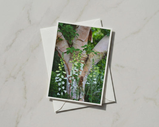White Foxglove Card, Birch Tree Woodland Flower, Botanical Nature Garden Card