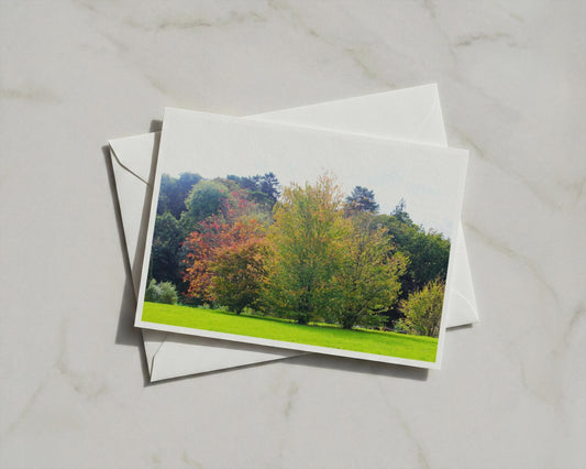 Autumn Trees Landscape Poster, Woodland Framed-Print, Fall Foliage Nature Wall Art, Red Green Gold Seasonal Decor, Forest Photography Print