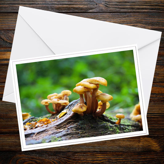 Honey fungus Fungi Greeting Card, Woodland Nature Art, Mushroom Photography, Eco-Friendly Paper, Botanical Forest Scene, Whimsical Forest