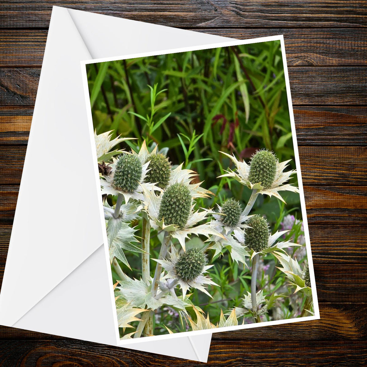 Sea Holly Eryngium A6 Greeting Card – Silvery Thistle Nature Photo, UK Handmade