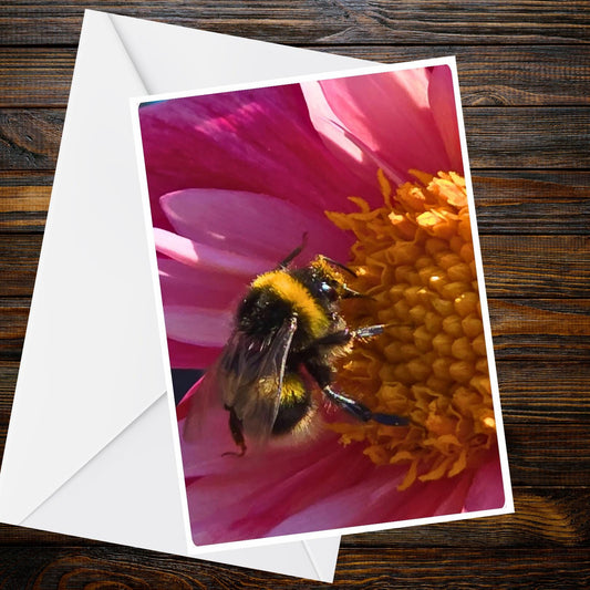 Orange Red Dahlia Macro Greeting Card — Summer Flower Collection