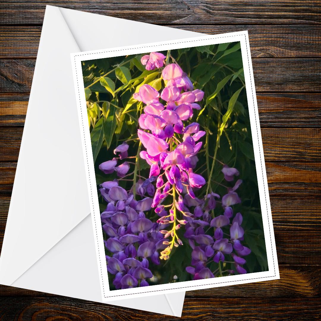 Wisteria Sunset Glow Card, Vibrant Purple Floral Greeting, Romantic Nature, Golden Hour Art, Handmade FSC Certified Blank Inside, Summer