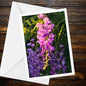 Wisteria Sunset Glow Card, Vibrant Purple Floral Greeting, Romantic Nature, Golden Hour Art, Handmade FSC Certified Blank Inside, Summer